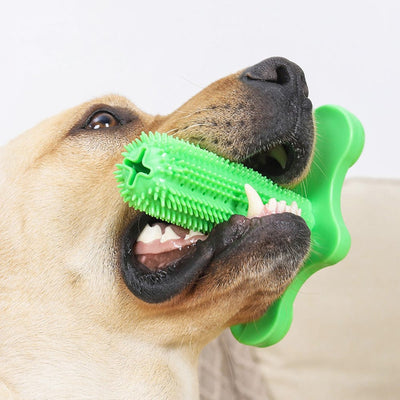 Pawslife Tooth Brush Toy